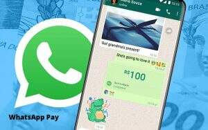 Entenda Os Impactos Do Whatsapp Pay Para O Seu Negocio Apice Contabilidade E Assessoria Empresarial - Apice